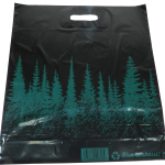 kahvareikäkassi kuusimetsä